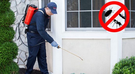 Fethiye Gümüşkurt İlaçlama böcek ilaçlama ve haşere kontrolü — ilaclama-tr.com